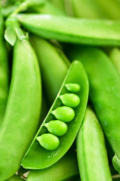 green pea pods isolated on white background stock photo