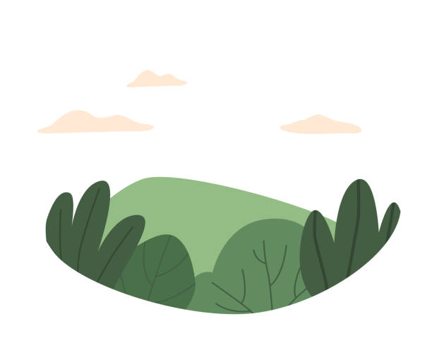 140+ Tall Grassfield Illustrations, Royalty-Free Vector Graphics & Clip ...