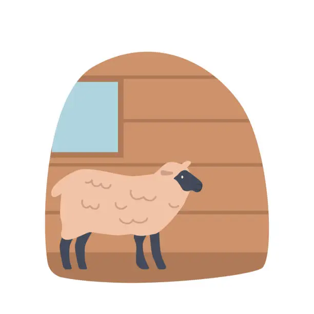 Vector illustration of Sheep In Barn, Bleating, Woolly Animal In Rustic Shelter. Cozy Atmosphere, Typical Farm Scene In Rural Livestock Area