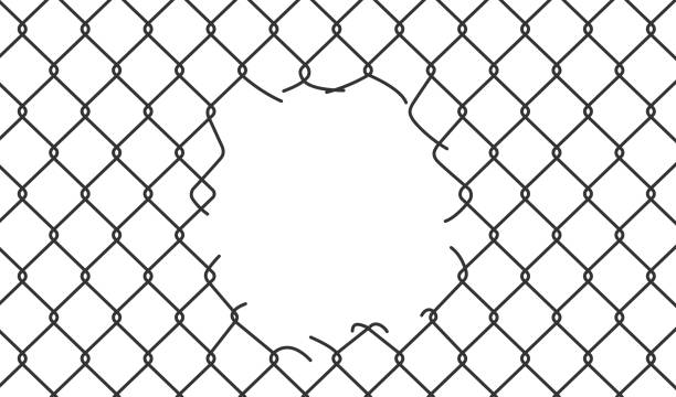 istock Broken wire mesh fence. Rabitz or chain link fence with cut hole. Torn wire pirson mesh texture. Cut metal lattice grid. Vector illustration isolated on white background 1490443670