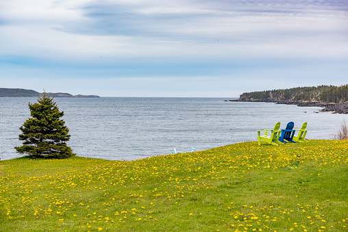 Seascape at Witless Bay, Newfoundland and Labrador, Canada.