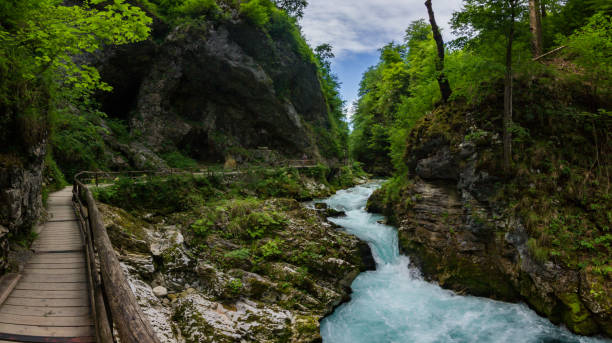 istock View of Vintgar gorge walk in Slovenia 1490446859