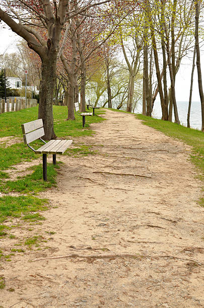 istock Trail along the lake shore 149044793
