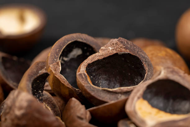 istock A bunch of ripe macadamia nuts in a hard shell 1490451036