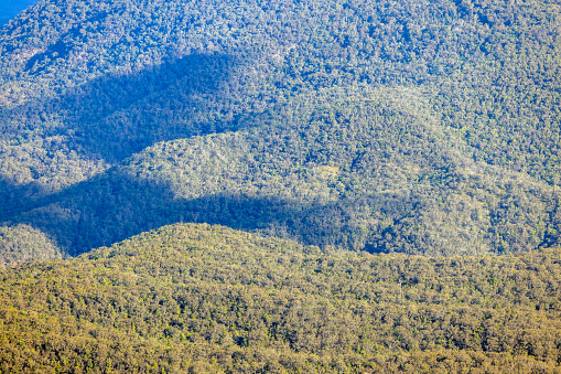 Aerial view of Eucalyptus forest in the Blue Mountains, Australia, full frame horizontal composition
