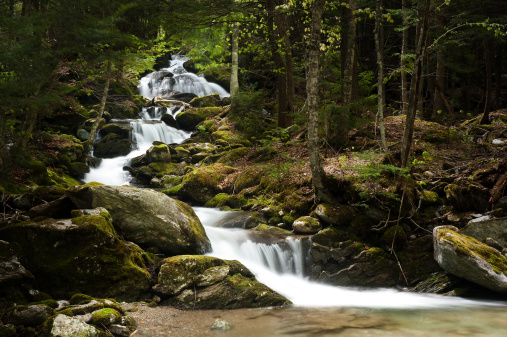 An intermittant waterfall on the flanks of Camel's Hump, Vermont.