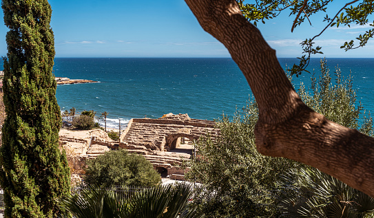 panoramic view of the Roman amphitheater by the sea in Tarragona Spain