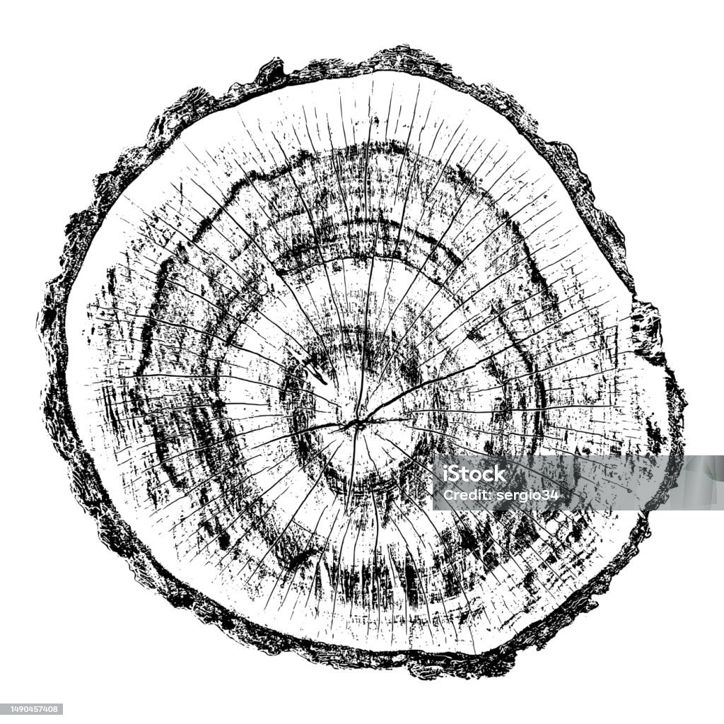 Tree Rings Cut Art Distressed Wood Texture Stock Illustration - Download Image Now - Cross ...