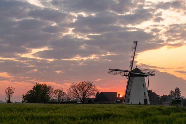 istock An Windmill in the morning 1490458328