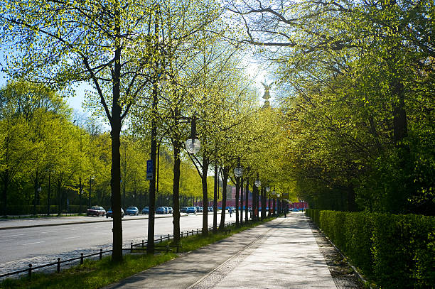 Promenade Plantée, also called Coulée Verte (“Green Stream”), is a 2.9 mile elevated linear park built on top of obsolete railway infrastructure in the 12th arrondissement of Paris