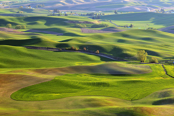 istock Farmland in Palouse Washington 149046084