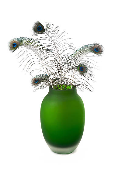 istock peacocks feathers in a green vase on white 149046559