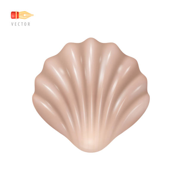 istock Cartoon Cute Seashell. Funny Sea Animal. Colorful tropical shell underwater icon. Shellfish summer symbol concept. Vector Illustration Object isolated on white background. Realistic 3D vector icon 1490465682