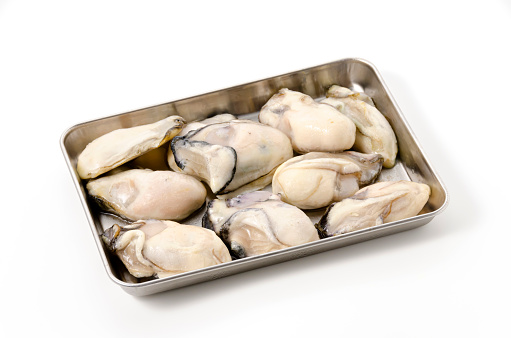 Shucked oysters in stainless tray on white background