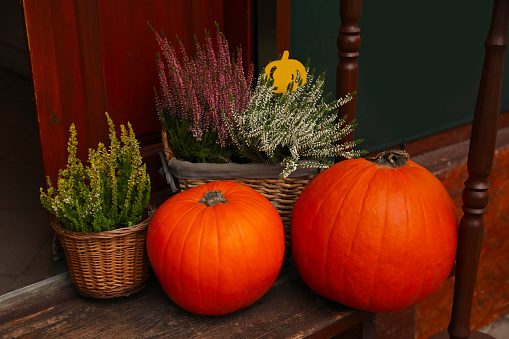 Beautiful pumpkins and flowers on wooden stairs outdoors