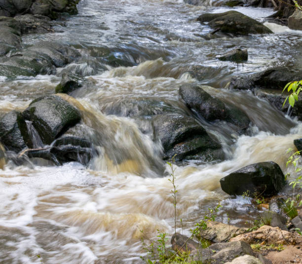 istock Freshwater, flowing stream and waterfalls 1490469399
