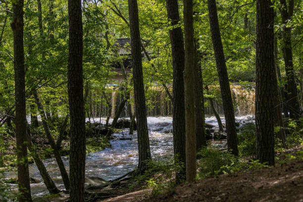 istock Freshwater, flowing stream and waterfalls 1490469522