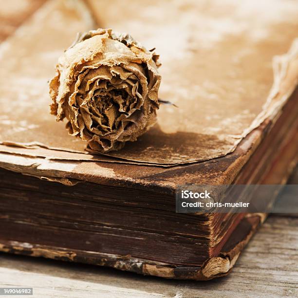 Dried Rose On An Antique Book Stock Photo - Download Image Now - Antique, Antiquities, Book