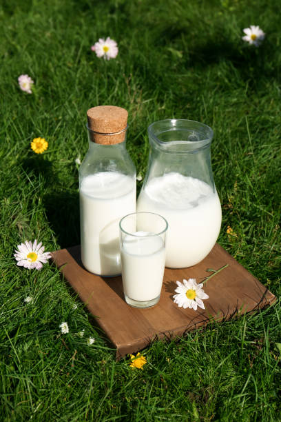 istock Glassware with fresh milk on green grass outdoors 1490470078