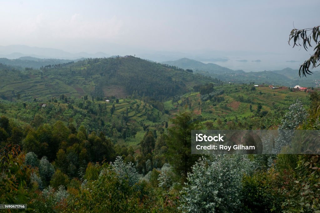 Cultivated hills and fields on the Congo Nile trail along the shores of Lake Kivu Africa Stock Photo