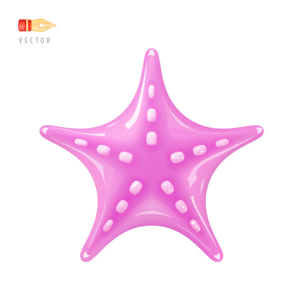 istock Cartoon Cute Pink Starfish. Funny Sea Animal. Vector Illustration Object isolated on white background. Realistic 3D vector icon 1490471923