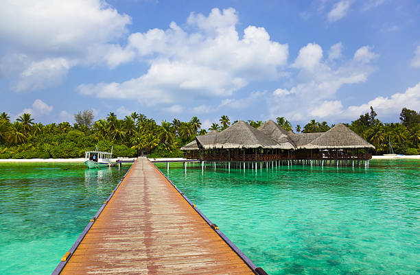 istock Water cafe on a tropical beach at Maldives 149047204