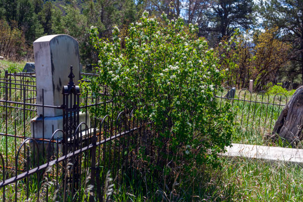 istock On the Trail to Doc Holliday's Grave 1490473264