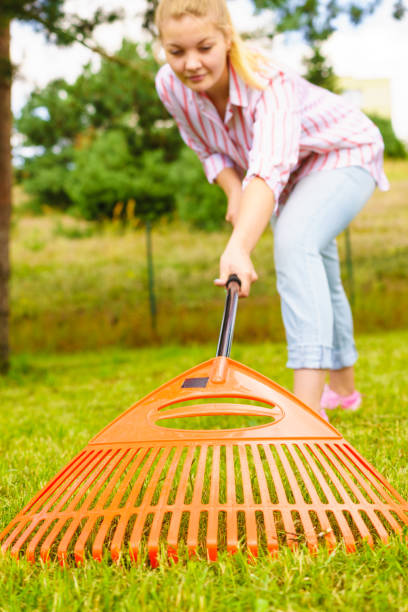 istock Woman using rake to clean up garden 1490476002