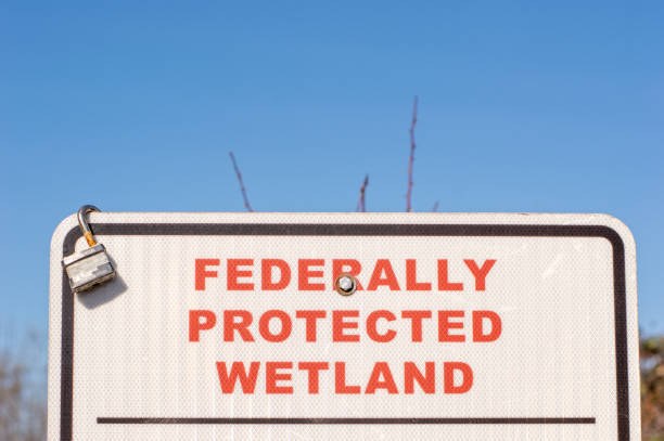 istock wetland sign in park 1490478350