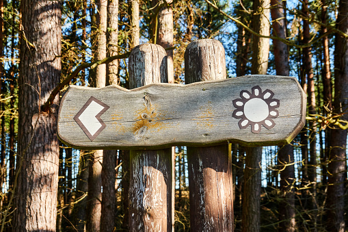 Signpost in a forest with an arrow and the sun as a sign for a place to sunbathe