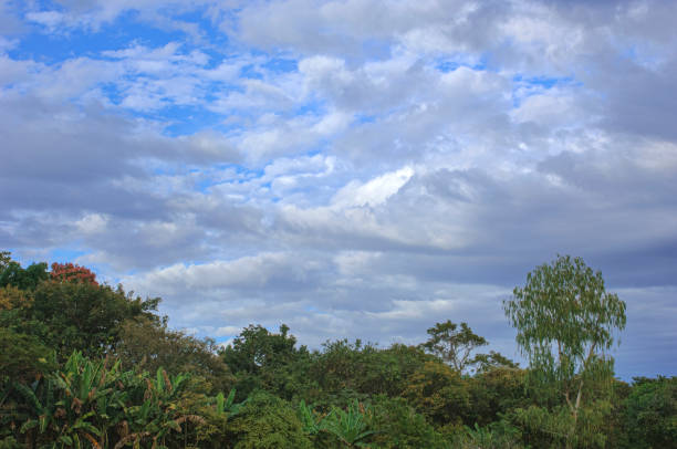 Wide view of El Salvador jungle landscape, under a cloudy sky.Taken in El Salvador, Central America
