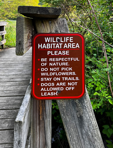 Wildlife Habitat area in public park