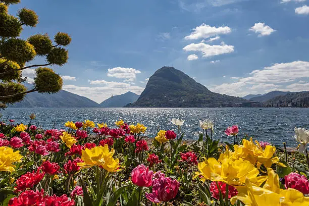 Spring flowers, Lake Lugano and Monte San Salvatore taken from the park.