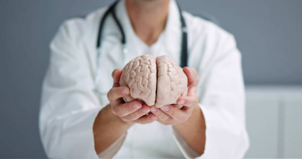 Brain Surgeon Or Neurologist Doctor Explaining stock photo