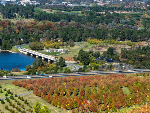 istock Autumn trees and lake 1490493790
