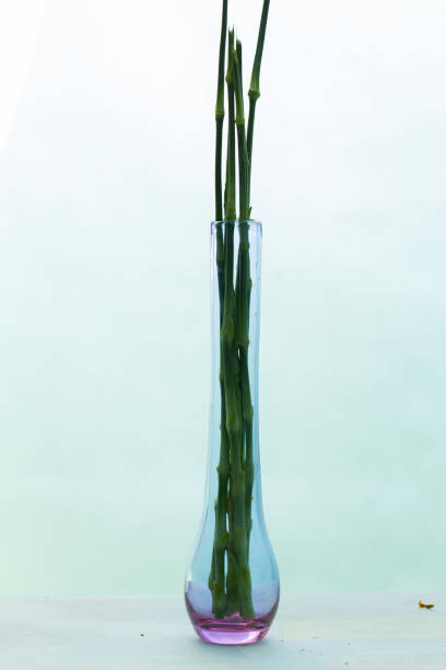 istock Twigs, trunks used to decorate in bouquets 1490495618