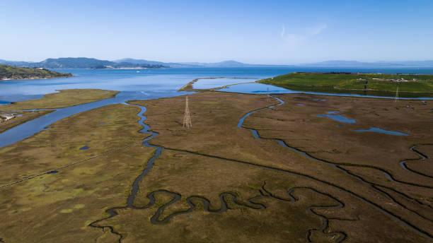 istock Wildcat Creek Marsh Richmond California 1490497502