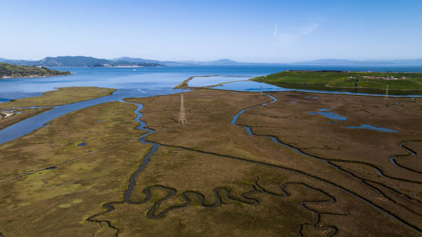 Wildcat Creek Marsh Richmond California High quality stock aerial photos of the Wildcat Creek Marsh in Richmond CA. The creek and marsh directly abuts the San Francisco Bay. brackish water stock pictures, royalty-free photos & images