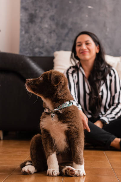 istock A Bundle of Love. Building Bonds with Our New Pet 1490504533