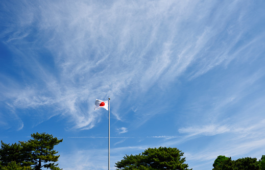 Japanese flag swaying in the wind and Pine tree against blue sky with copy space.