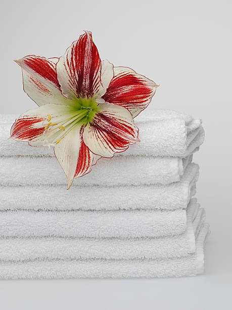 towels stock photo