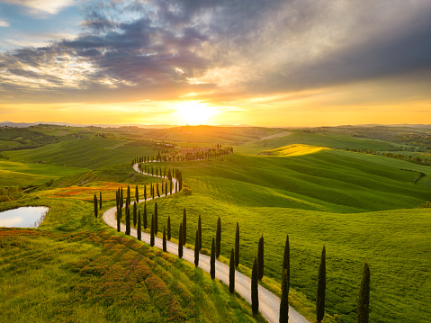 Asciano Crete Senesi hay rolling landscape and winding cypress road in Tuscany