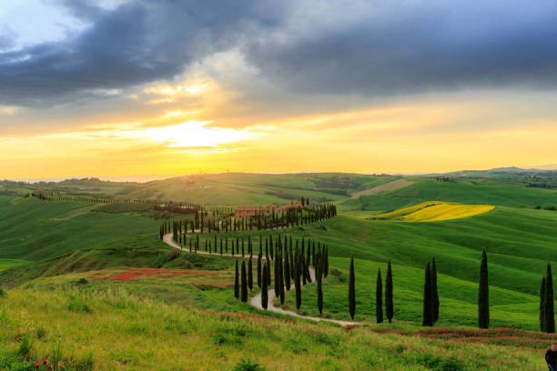 istock Asciano Crete Senesi rolling landscape in Tuscany 1490511234