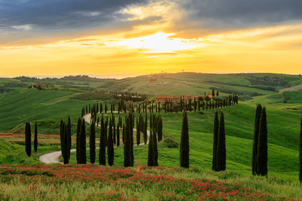 istock Asciano Crete Senesi rolling landscape in Tuscany 1490511239