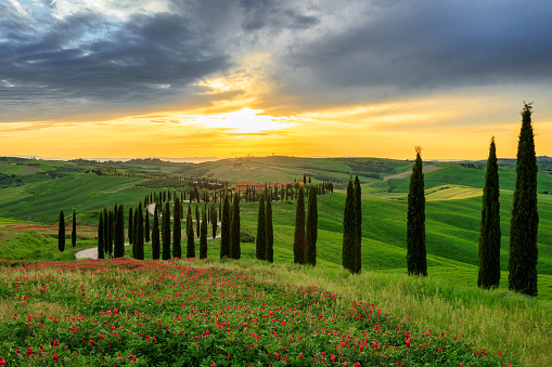 Scenic Tuscany landscape with rolling hills and valleys in golden morning light, Val d'Orcia, Italy