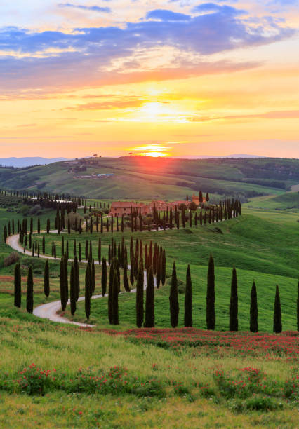 Asciano Crete Senesi rolling landscape in Tuscany Asciano Crete Senesi hay rolling landscape and winding cypress road in Tuscany crete senesi stock pictures, royalty-free photos & images