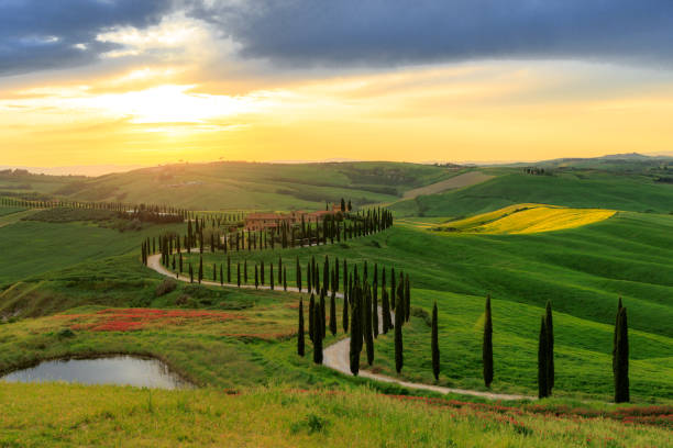 istock Asciano Crete Senesi rolling landscape in Tuscany 1490511245