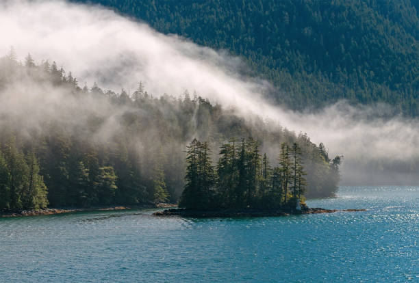 istock Inside Passage Cruise Mist, British Columbia, Canada 1490513864