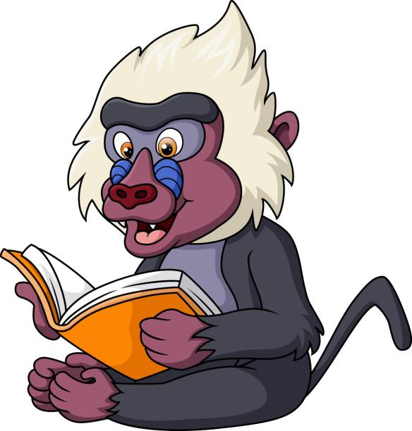 illustrations, cliparts, dessins animés et icônes de dessin animé de babouin mandrill mignon lisant un livre - drill