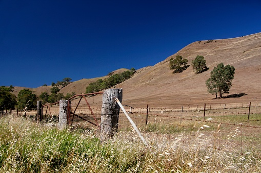 A rural landscape during the hot summer in the hills of the Barossa Valley South Australia